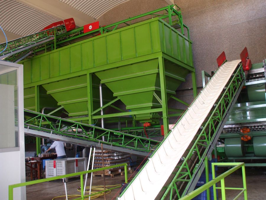 Plantas y líneas de procesado para Aceitunas